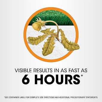 Roundup Poison Ivy Plus Tough Brush Killer2 Concentrate, Visible Results in Hours, 32 fl. oz.