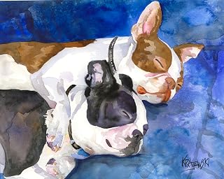 Boston Terrier Print High Resolution of Original Fine Art Watercolor by Ron Krajewski-Home Wall Art Decor in 8" x 10" and 11" x 14" Sizes (#10)