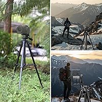 Vista 8 de NEEWER Versión de entrada trípode para teléfono celular y cámara, soporte de viaje portátil ligero de metal con soporte para teléfono con zapata