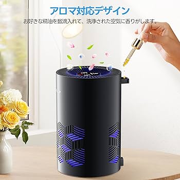 Amazon.co.jp: ECOSELF 空気清浄機 小型 【2025新モデル Hepa