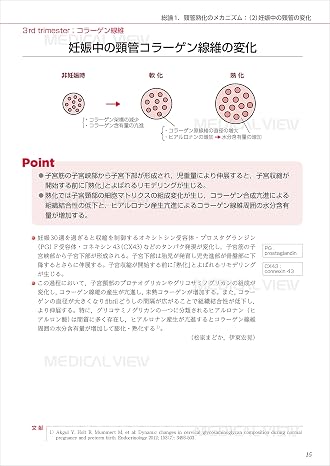 Cervical ripening and labor induction method based on the physiology and pathology of labor