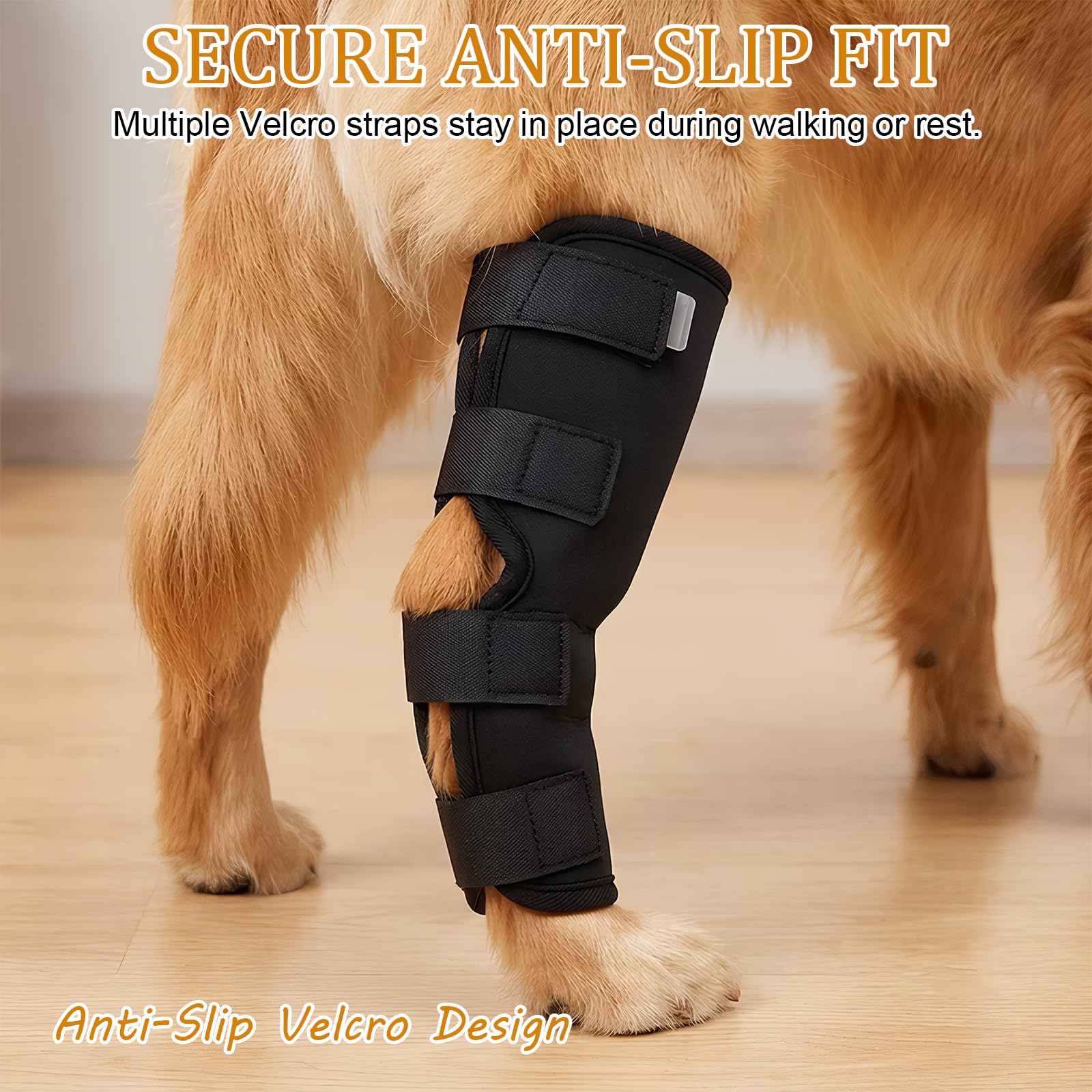Bendaggio articolare per cani con protezione contro le perdite, benda di supporto per cani