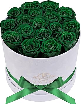 17 Flowers in a Luxury Suede Box, Birthday Gifts for Women, Preserved Flowers, Mothers Day Roses Gift for Mom, Dark Geen
