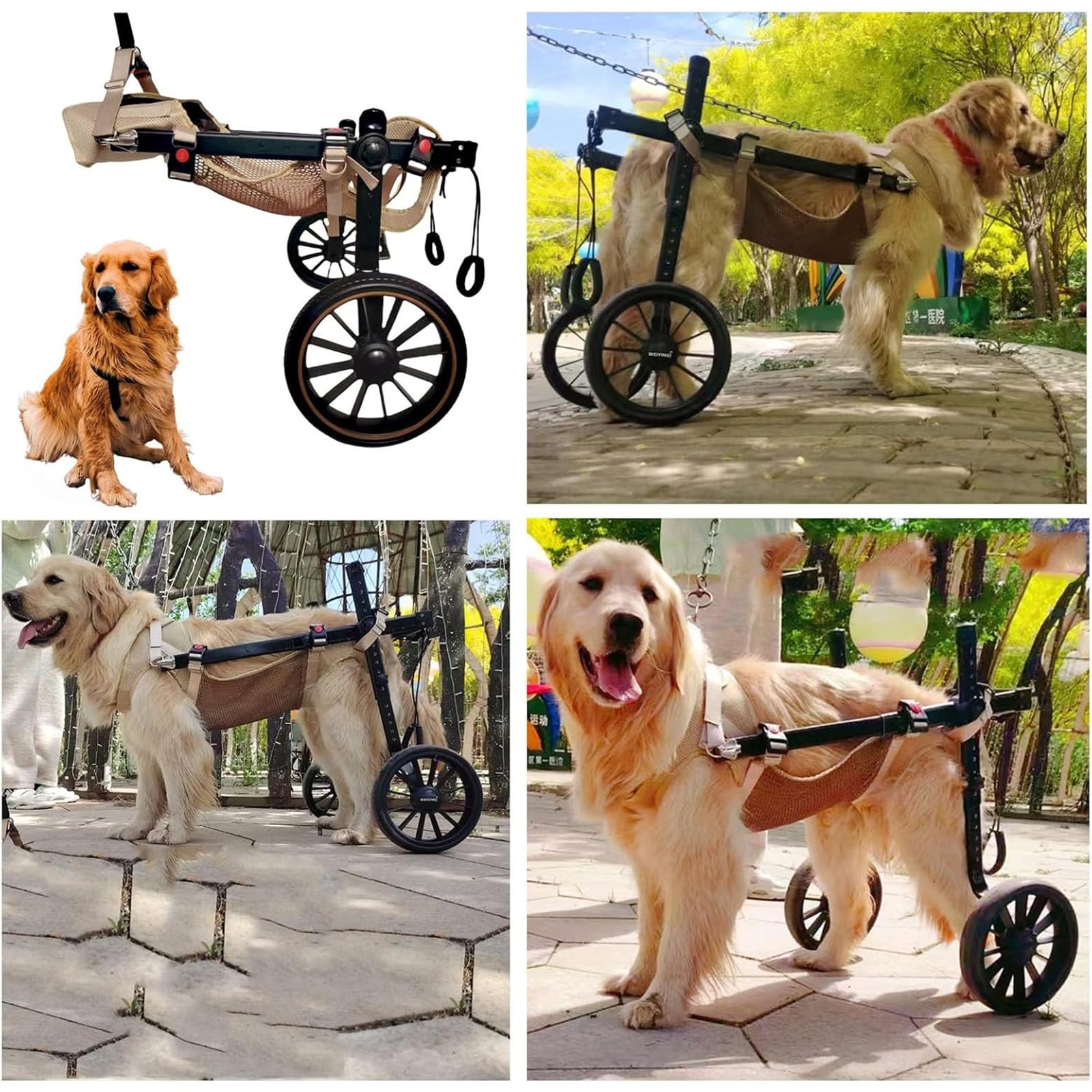 Fauteuil Roulant Pour Chien,Pattes ArrièRe,2 Roues Chien,Attelle D'Exercice Marcheur Handicapé,Aide à La Marche Avant BlesséEs/ParalyséEs,Pour Chariot Animaux Petite,Moyenne Et Grande Taille(XL,Blue)