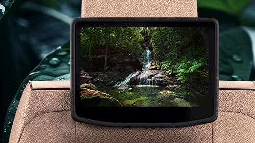 Zenful Green Oasis - vídeos relaxantes e sons pacíficos para uma tranquilidade eterna na Fire TV e T