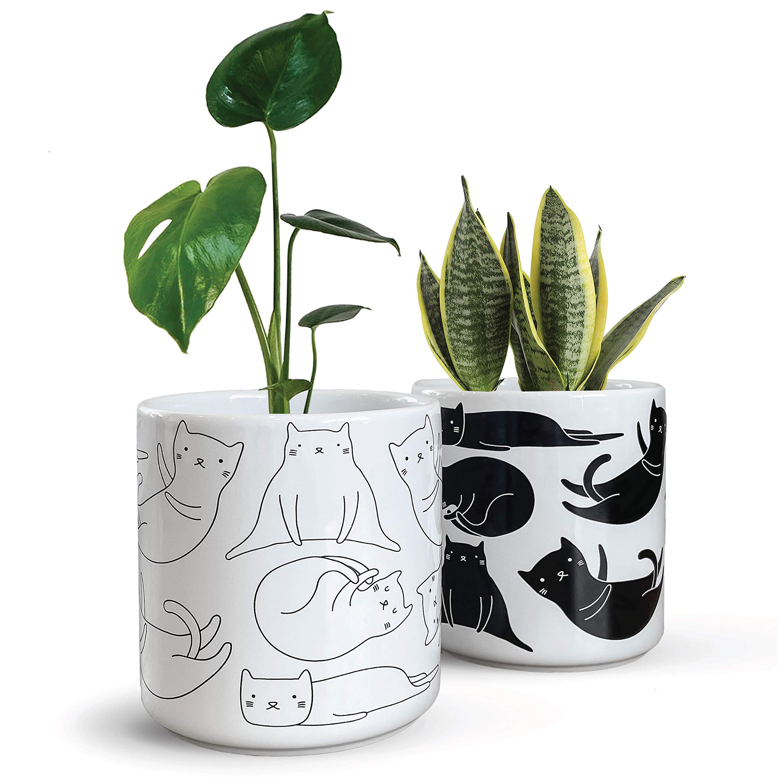 Cat Planter Pot - Lazy Cat Decor Planter Pots, Set of 2 Black and White Ceramic Kitty Planter, Cat Lover Gifts for Women, Men and Kids, 5 Inch, Cute Cat Decor