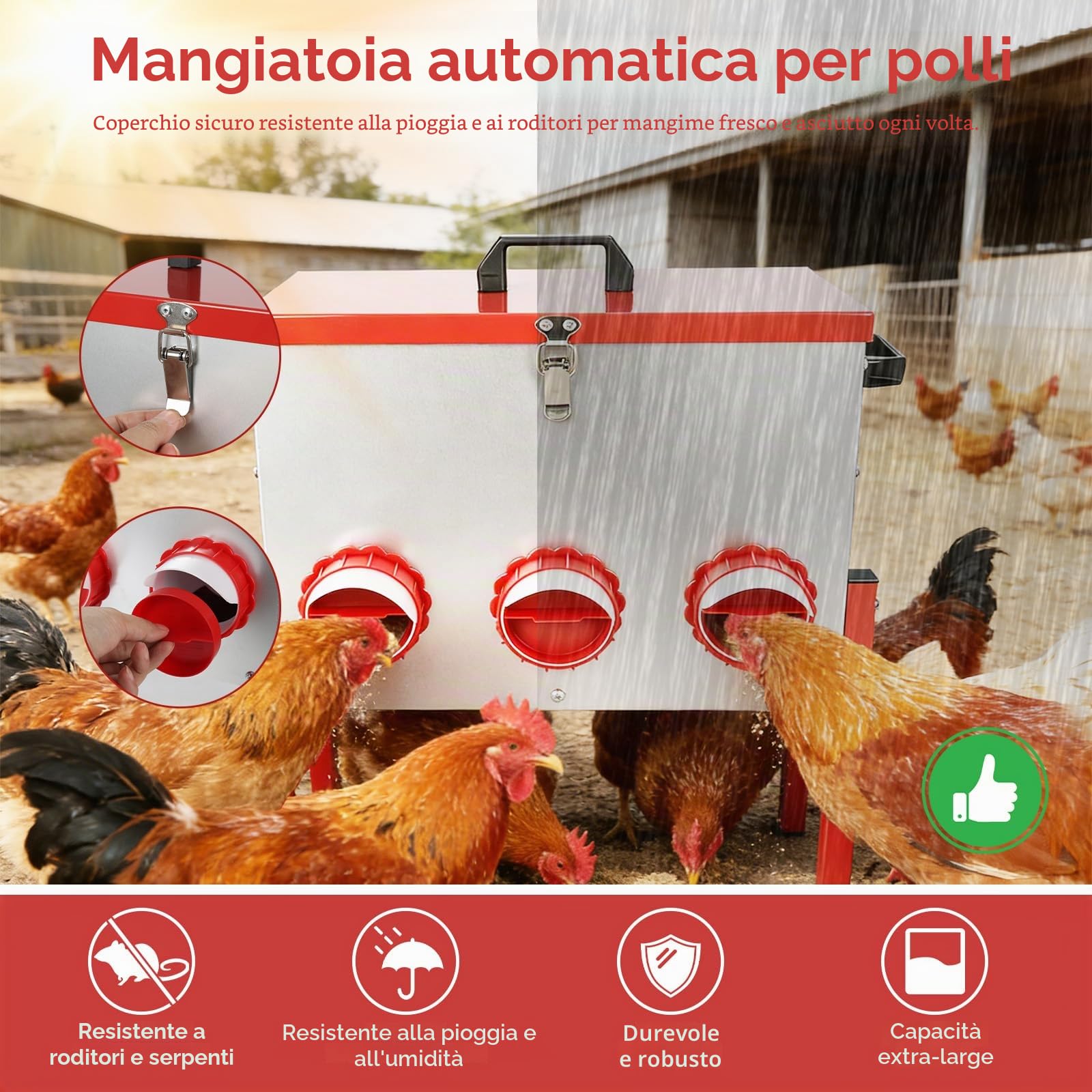 Mangiatoia Automatica per Polli con Grande Capacità 15 kg (33 libbre), Mangiatoia per Polli a Prova di Ratto con 6 Fori di Alimentazione per Allevamento di Anatre/Oche, per Uso in Pollaio