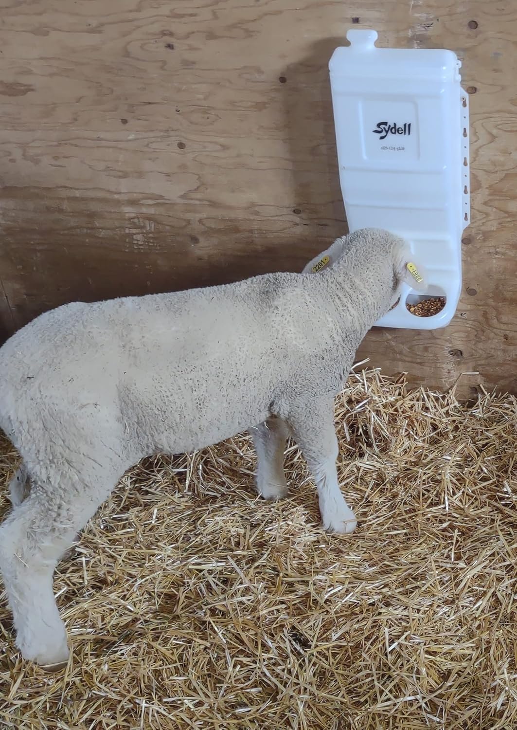 Sydell Sheep and Goat Grain Mineral Feeder, Large Outdoor Forage Grain Feeding System, Supports Up to 10 Small Livestock, Weather Resistant Heavy-Duty Plastic, Fence Mounted : Patio, Lawn & Garden