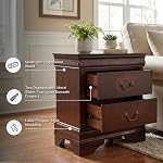 Signature Design by Ashley Alisdair Nightstand - 2 Drawers - Traditional - Rectangular - Dark Brown