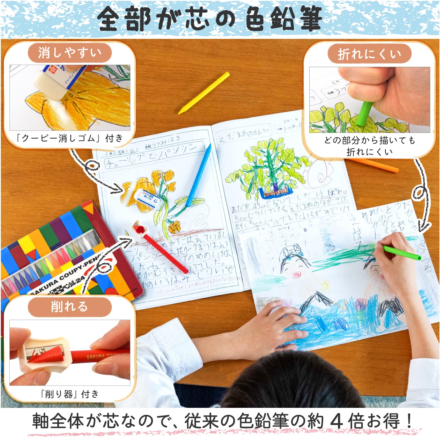 Amazon.com : SAKURA Coupy Pencil, 24 Colors, Soft Case
