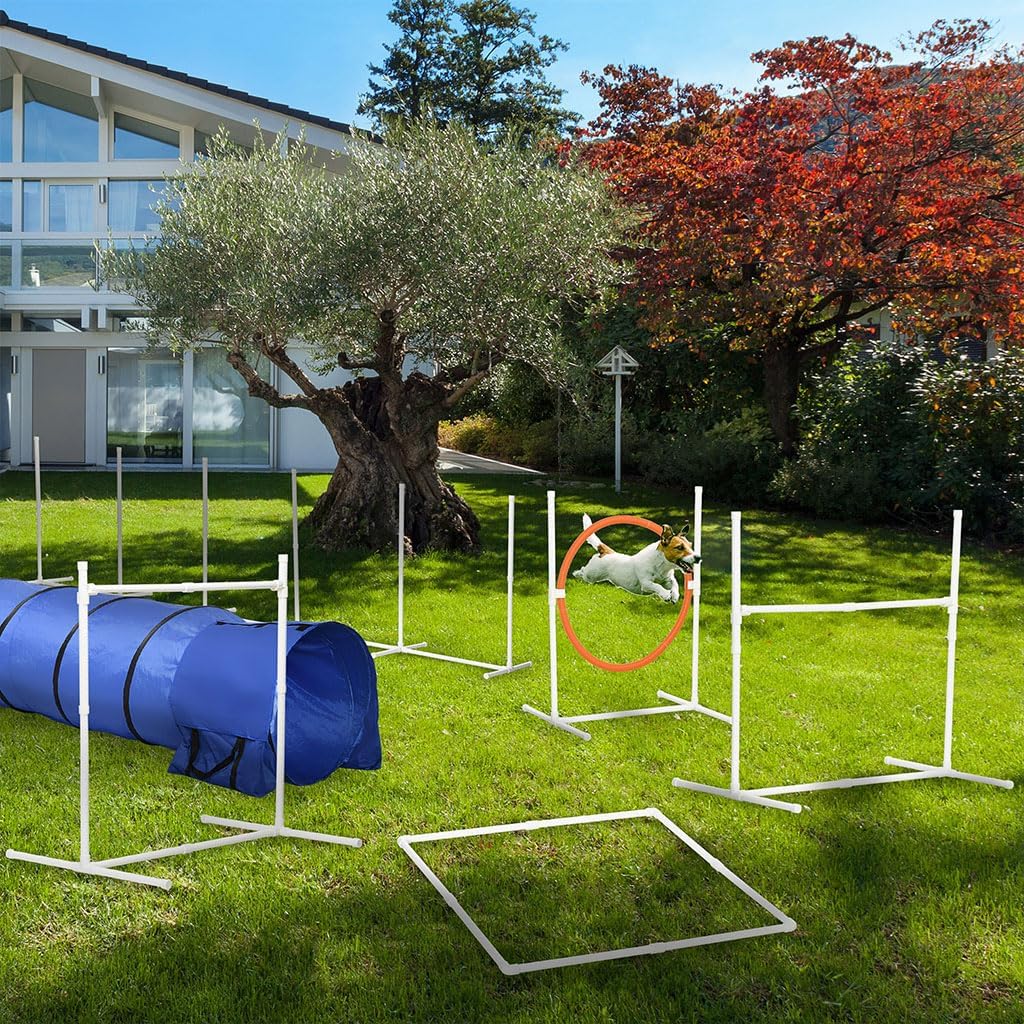 8 Piece Dog Training Equipment, Modern Dog Course Equipment with 9.8' Tunnel and Canine Whistle Portable Dog Motion Equipment with Pause Box and Carry Bag for Outdoor Dog Training