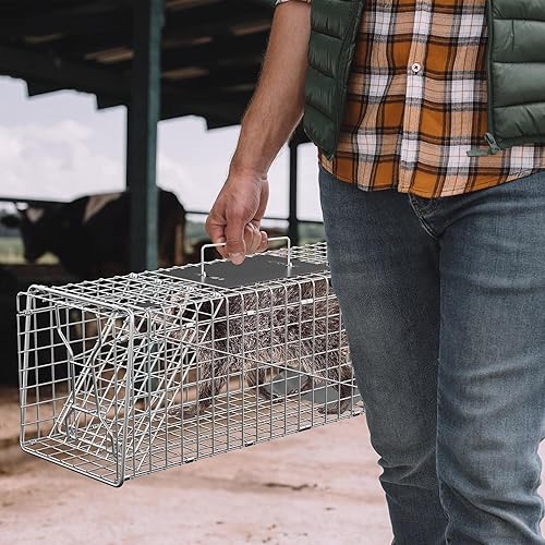 Miniatura 14 de ZENY Trampa de jaula de animales vivos de 32 x 12.5 x 12 pulgadas con puerta de hierro, jaula de acero para conejos, gatos callejeros, ardillas