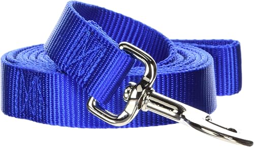 Hamilton Simple épais Laisse pour Chien en Nylon