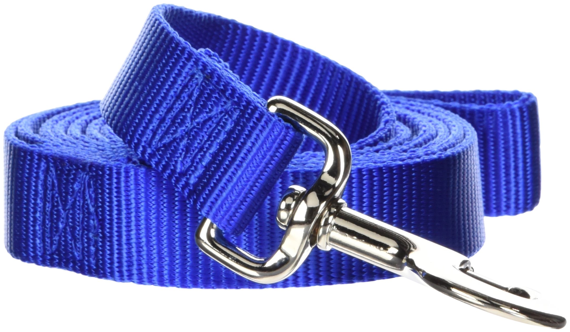 Hamilton Single Thick Nylon Dog Lead, 1-Inch by 6-Feet, Blue