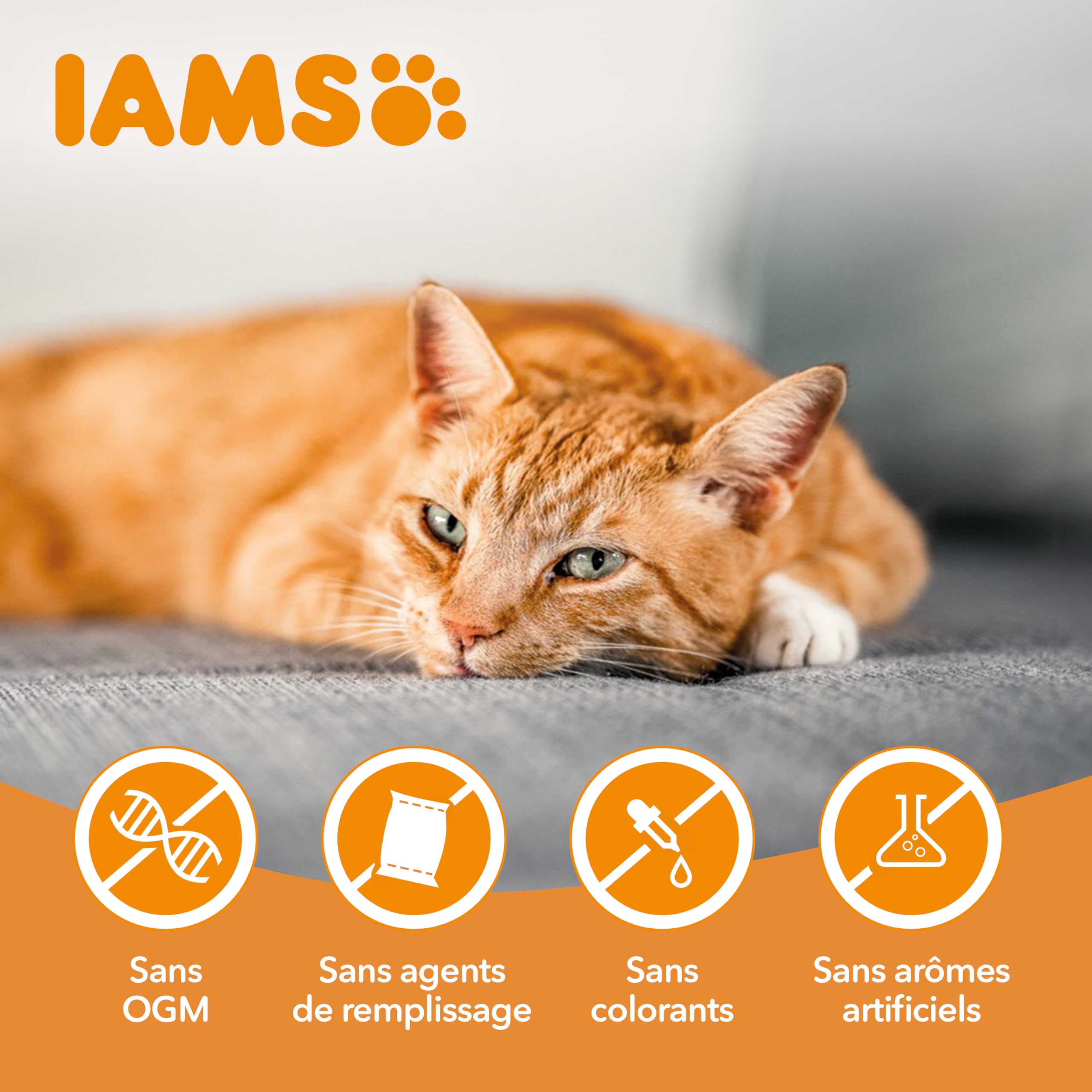 IAMS Vitality - Croquettes Premium Chats Adultes 100% Complètes Et Ã‰quilibrées - A L'Agneau - Sans OGM Colorant Arôme Artificiel - Sac Refermable 1,5