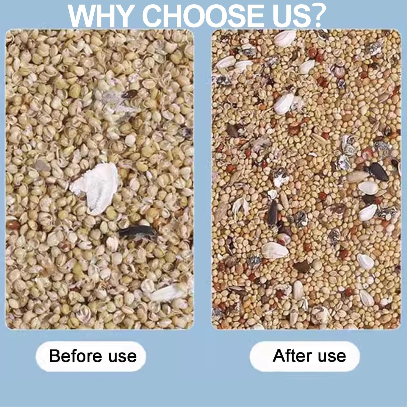 Macchina per la pulizia dei cereali, separatore a guscio soffiato con 2 cassetti e velocità regolabile, porta di alimentazione ingrandita per miglio, semi di melone, riso e fagioli