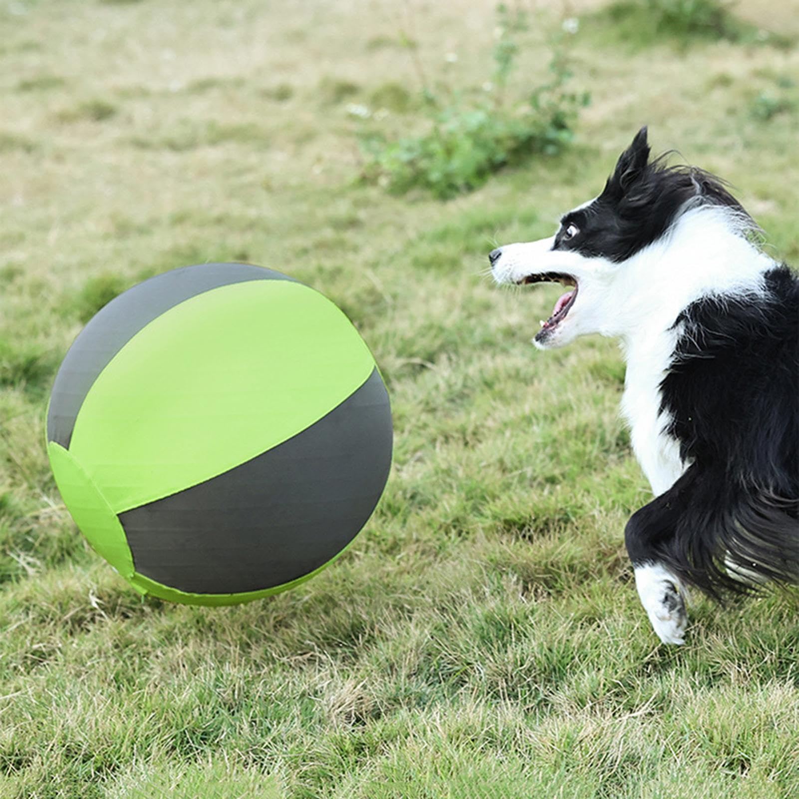Generisch Hüteball für Hunde Aufblasbares Welpenkauen | Welpentrainingsball für und Trainer, Hinterhof, Rasen, Garten, Bauernhof, Park, Wohnung, Zuhause, Pool und