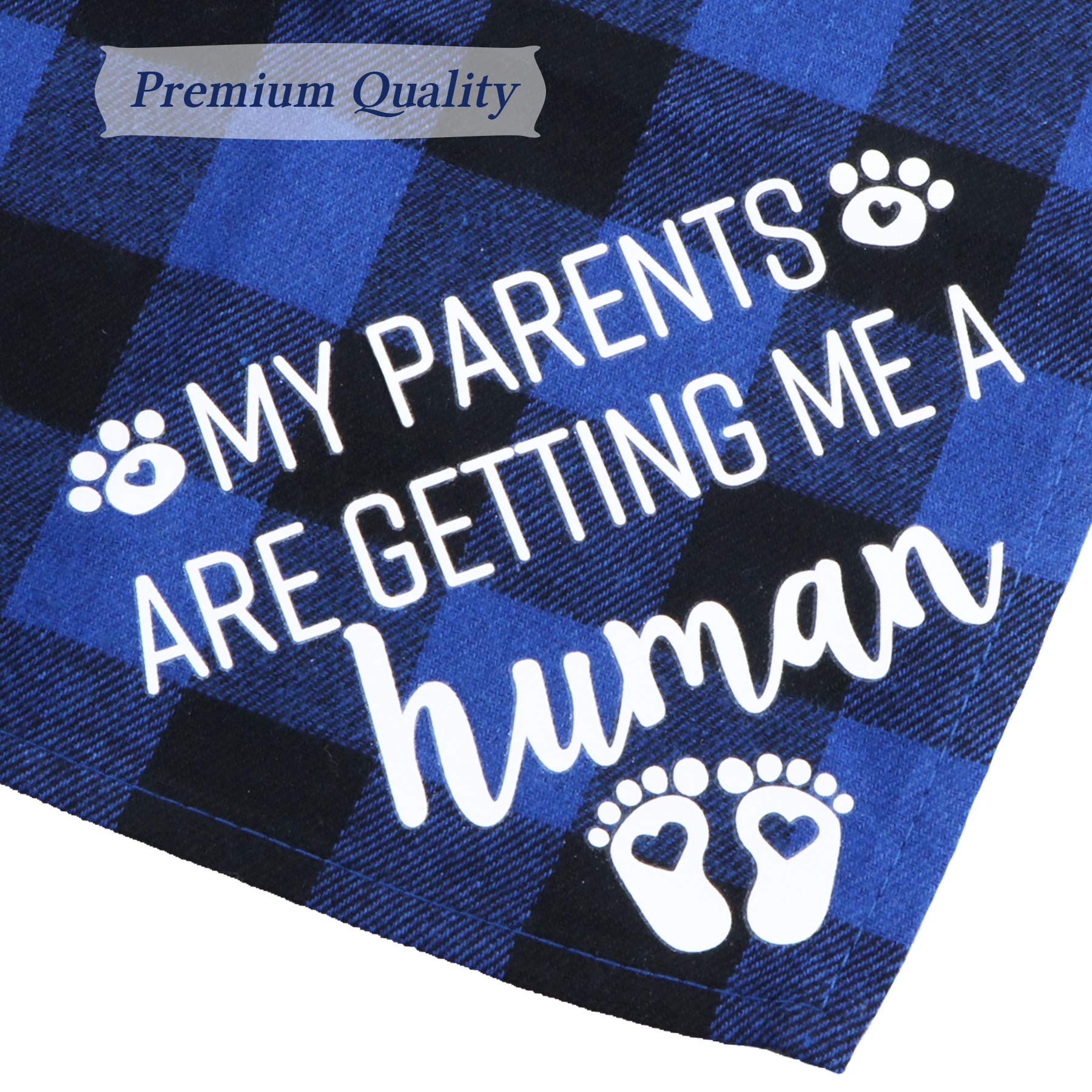 STMK Bandana pour chien « My Parents are Getting Me A Human » - Annonce de grossesse - Bandana pour chien - Annonce du sexe de bébé - Accessoire photo pour chien (bleu et rose)