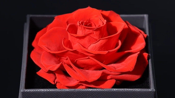 ShiQiao Spl Collana da donna con rosa rossa, collana con fiore per ragazze, fidanzata, moglie, anniversario, compleanno, regalo di Natale, Small, Zinco, Rosa Rossa