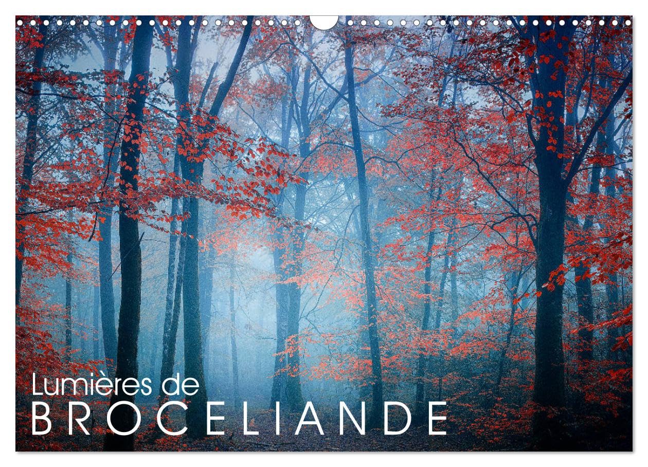 Lumières de Brocéliande (Calendrier mural 2026 DIN A3 vertical), CALVENDO calendrier mensuel: Images de la forêt de Brocéliande