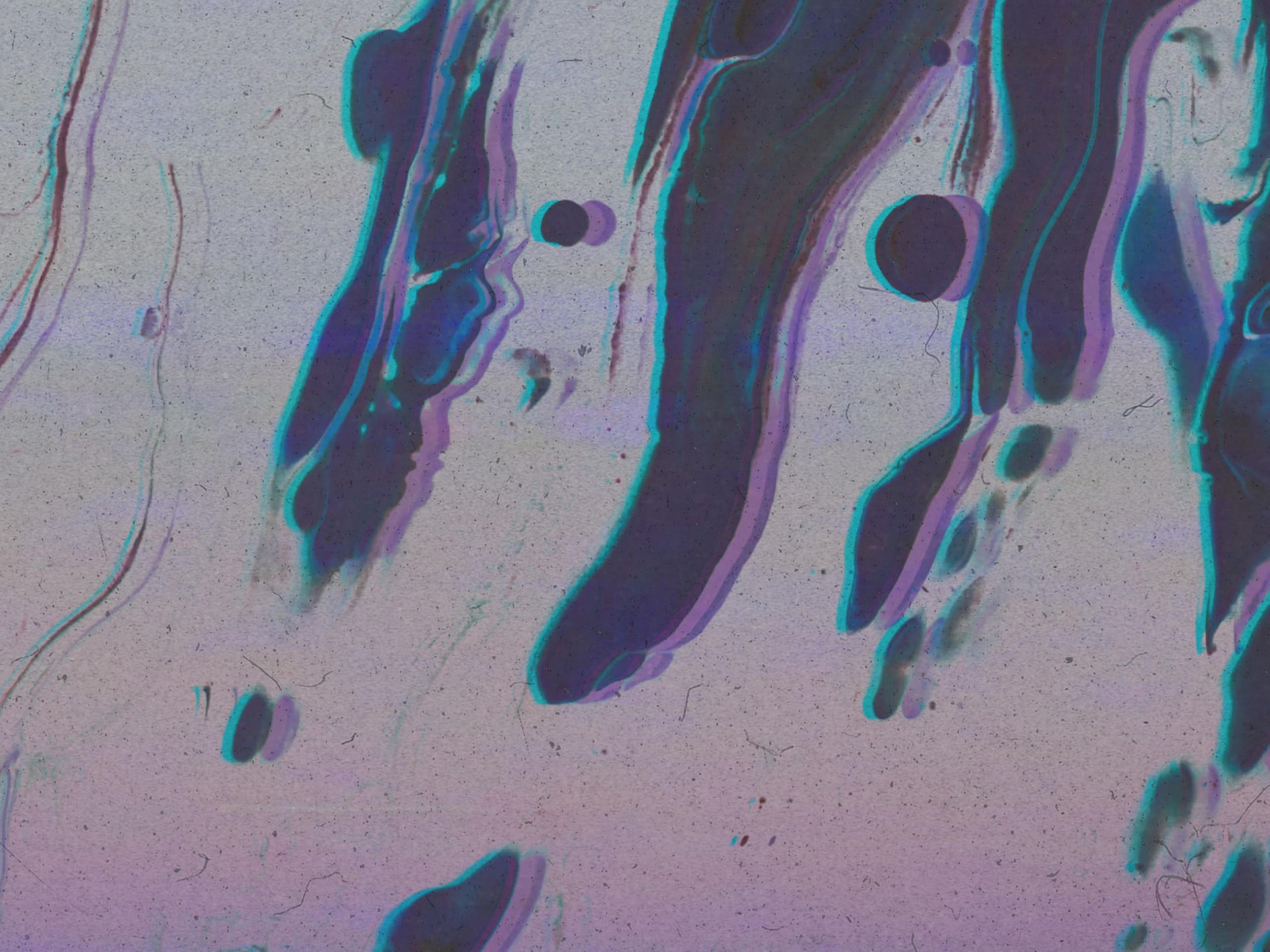 Vitamin String Quartet