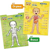 Vista 6 de BEST LEARNING i-Poster My Body - Juguete educativo interactivo para hablar de anatomía humana Aprende partes del cuerpo, órganos, músculos