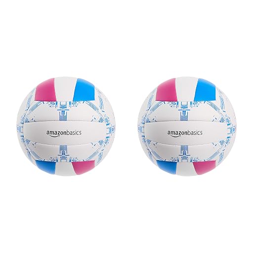 MockWares Basics Recreational Volleyball 2 Pack Size Five