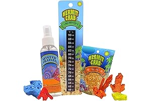 Hermit Crab Beginner Pet Starter Pack