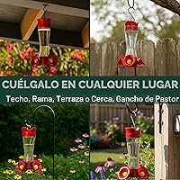 Vista 6 de Perky-Pet 203CPBN-2 - Comederos de vidrio para colibríes para exteriores con perchas, foso de hormigas, protectores de abejas, paquete de 2