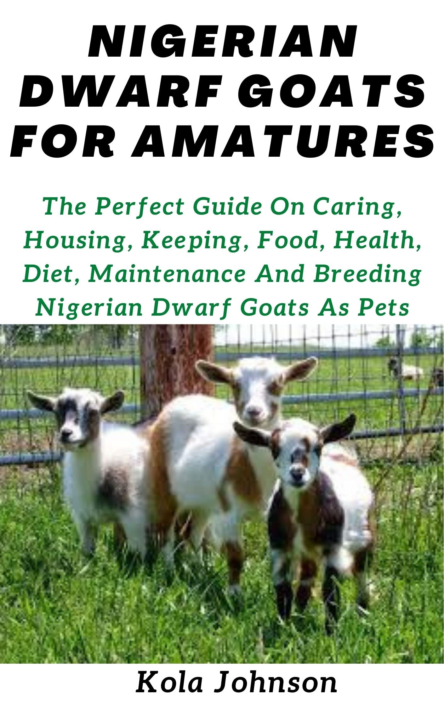 Buy NIGERIAN DWARF GOATS FOR AMATURES The Perfect Guide On Caring, Housing, Keeping, Food