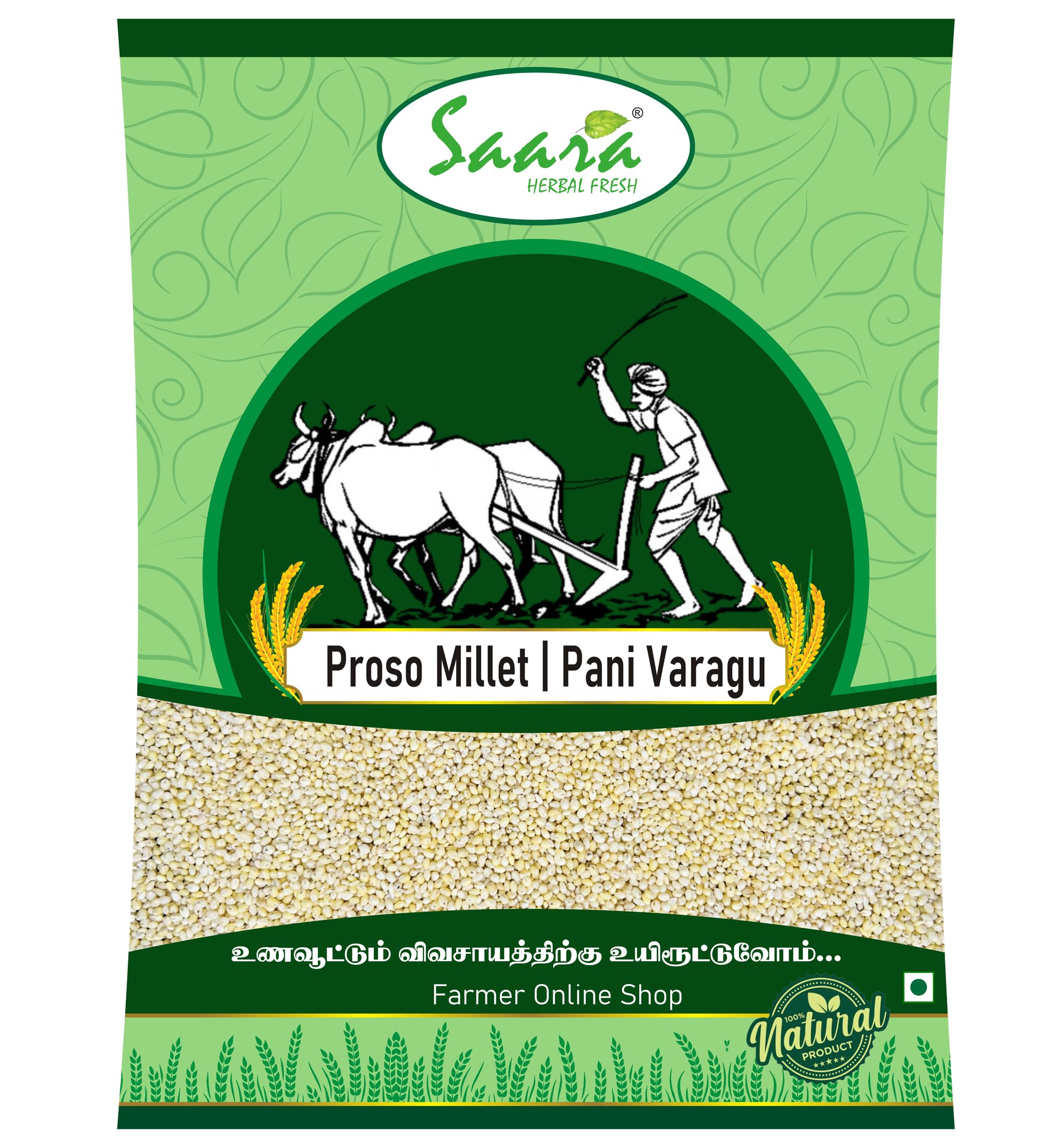 Saara Herbal Fresh Proso Millet 450g | Panivaragu Millet | Panivaragu Rice | Cheena | Varigalu | Baragu | Panicum Arisi | Pani Varagu