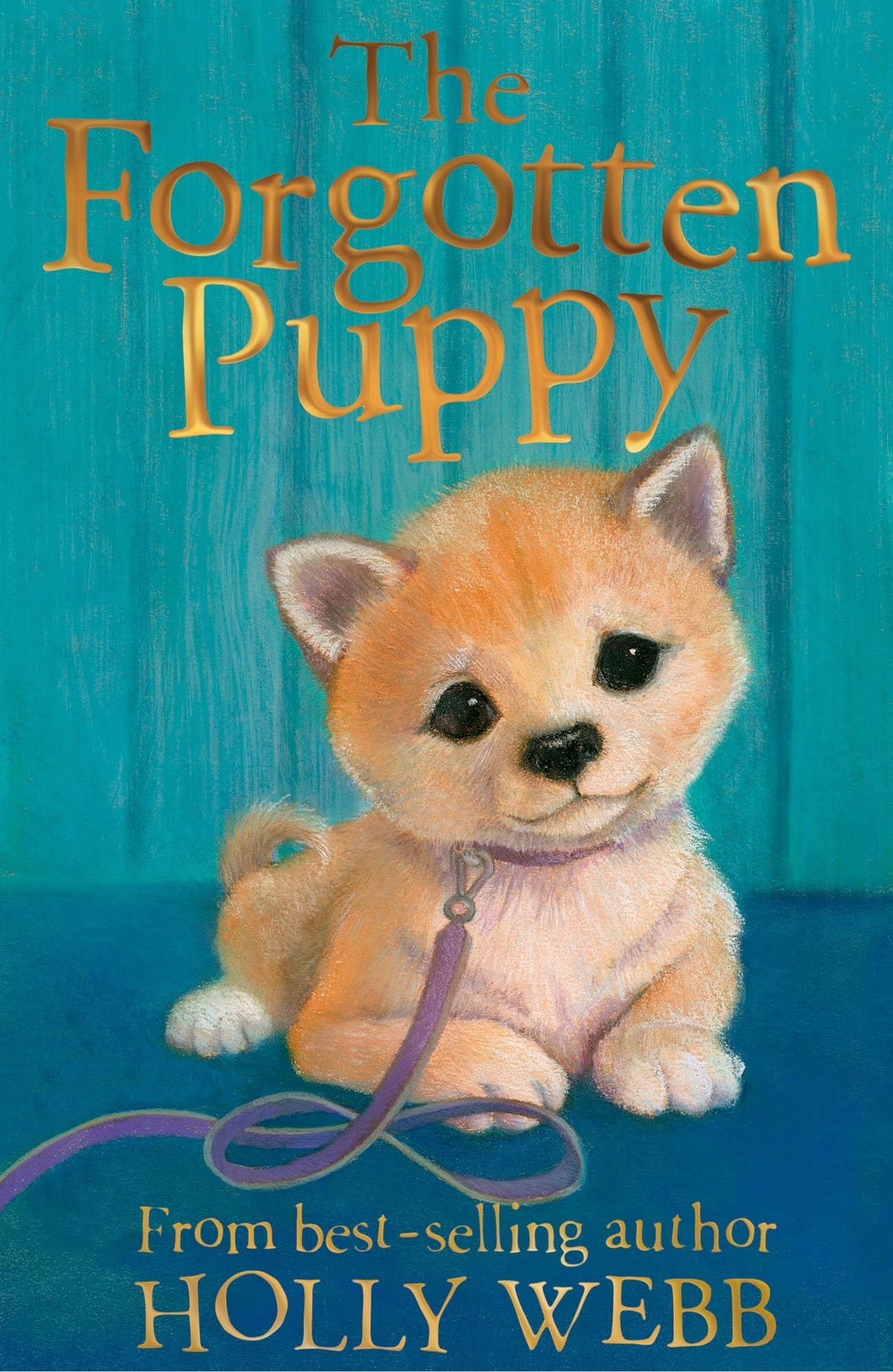 The Forgotten Puppy: 29 (Holly Webb Animal Stories, 29)