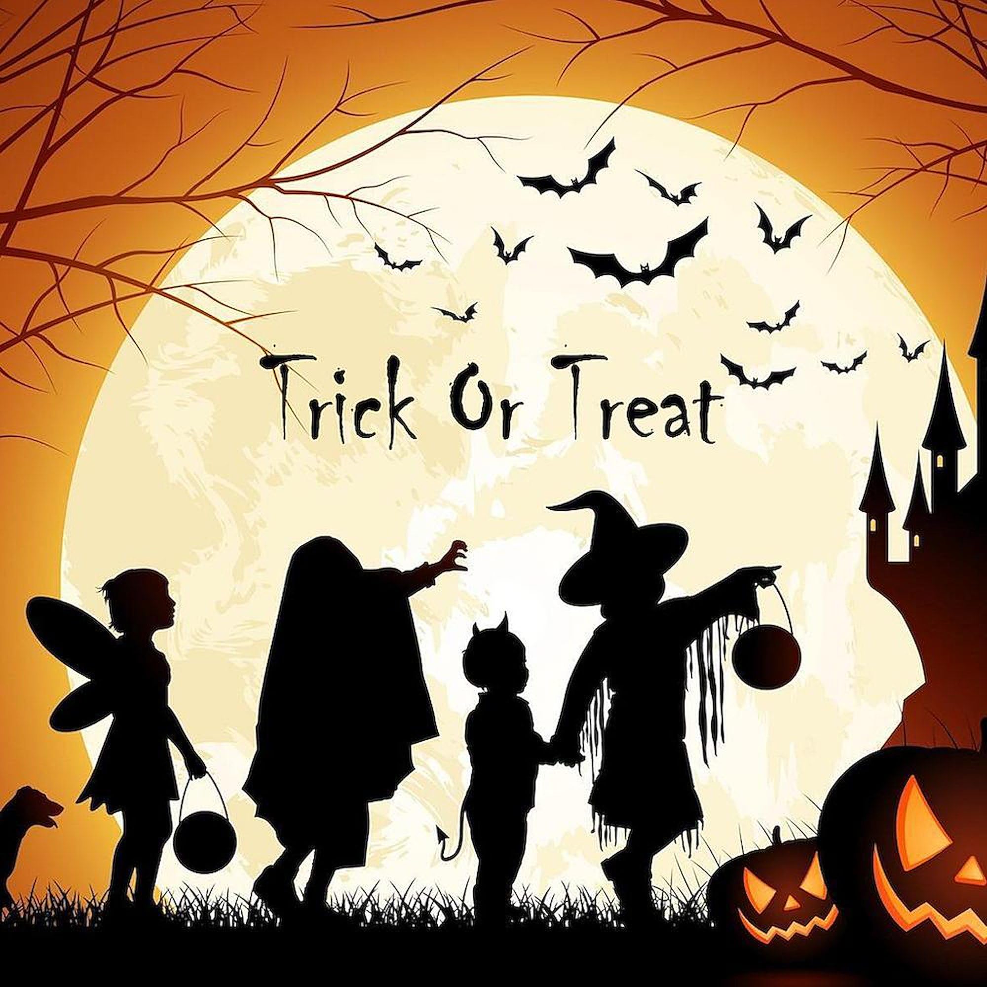 CafePress Halloween Trick Or Treat Kids Queen Duvet Cover, Printed Comforter Cover, Unique Bedding