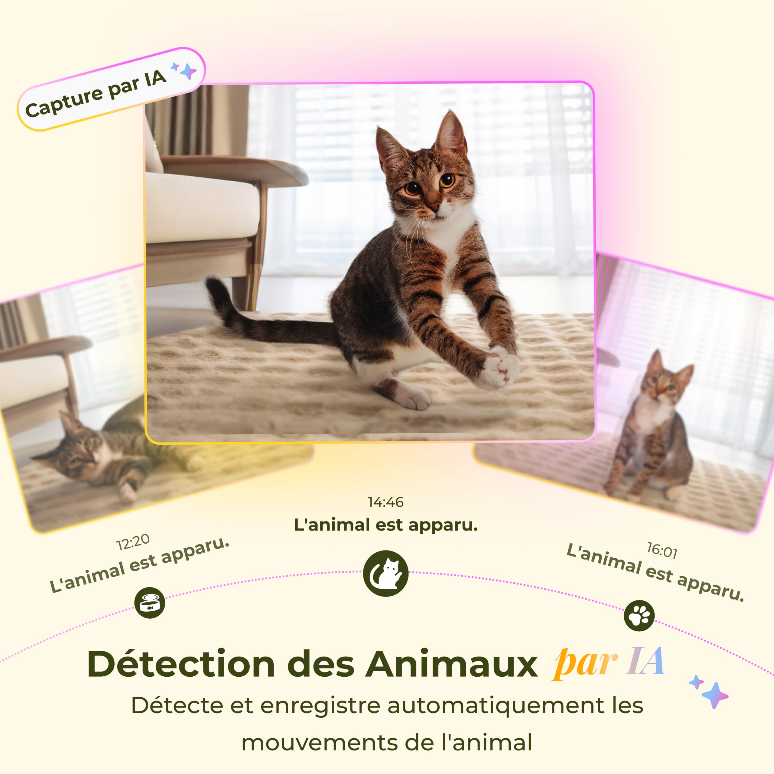 Distributeur Automatique pour Chat/Chien avec caméra 2K, Wi-FI 5G, 4L, Programmation, capteurs Faible Niveau & Blocage, Audio 2 Voies, Vision Nocturne, alertes aboiement & Mouvement