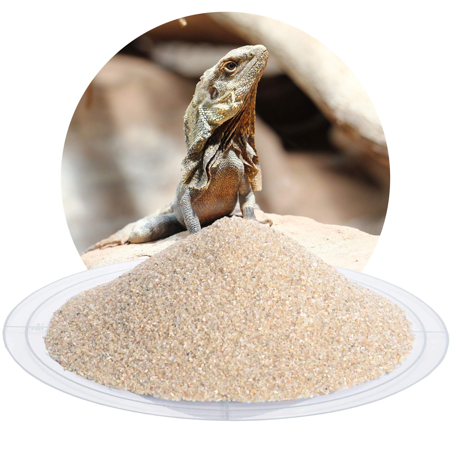 Schicker Mineral Terrariensand beige 25 kg, hochrein, kantengerundet, gewaschen und hocherhitzt, frei von organischen Stoffen, keimfrei, sofort einsetzbar, Terrariumkies (0,5-1,0 mm)