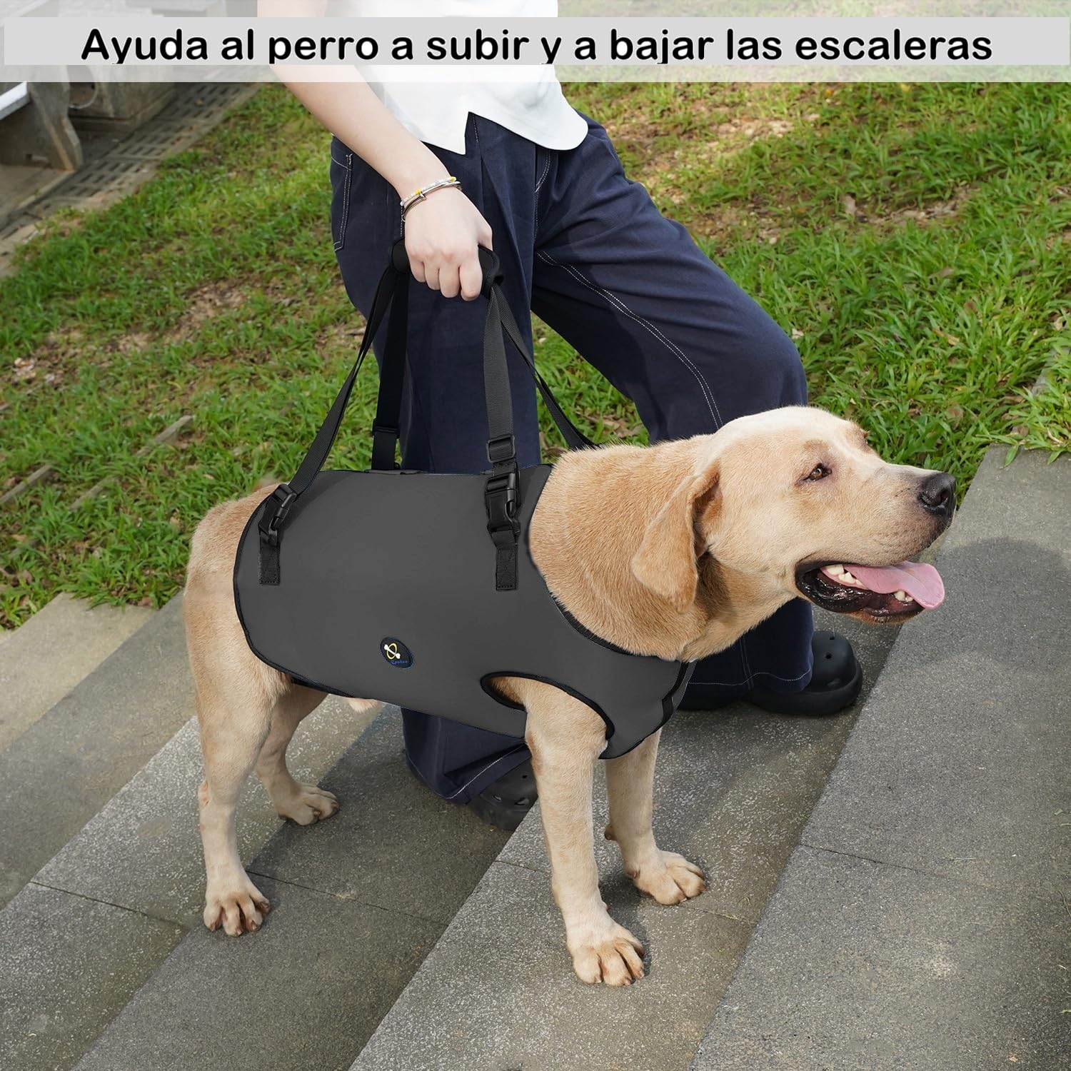 Coodeo Arnés de elevación para Perros, Soporte para Mascotas y rehabilitación, Correas Acolchadas Ajustables y Transpirables para Personas Mayores, discapacitados, Lesiones articulares, (Negro, 2XL)