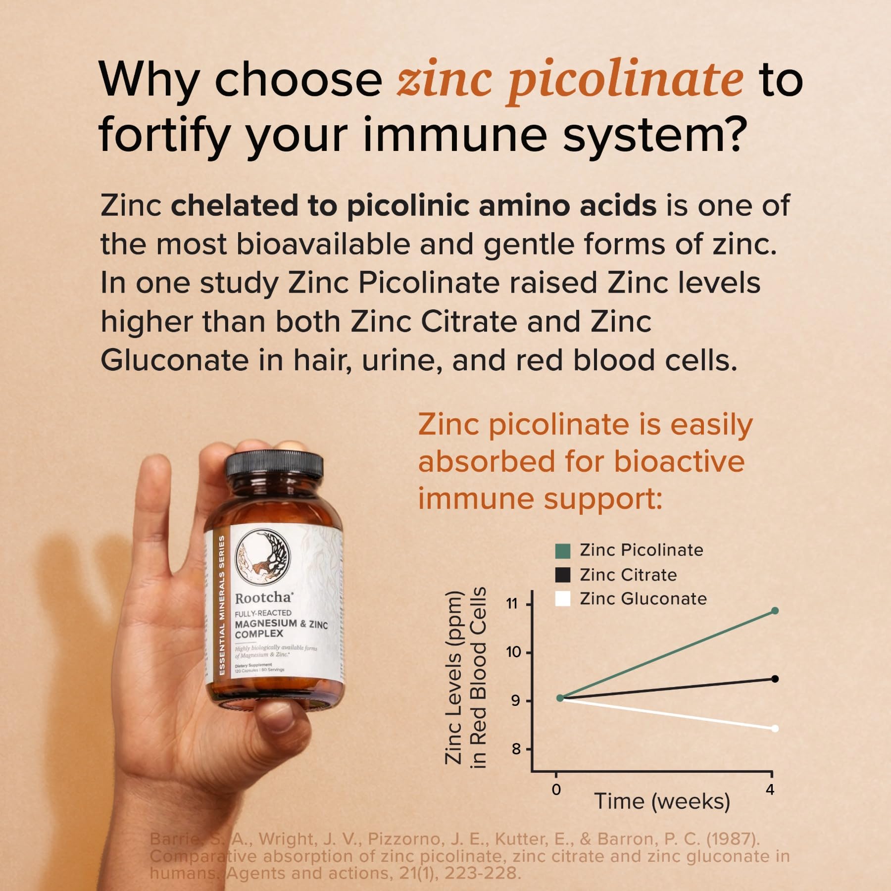 Potent & Pure Magnesium & Zinc Complex - Fully Reacted Magnesium with Chelated Zinc Picolinate - by Rootcha | 120 Capsules — Amazon image 3