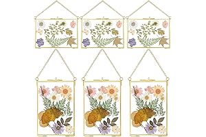 6 Pieces Pressed Flower Glass Picture Frames