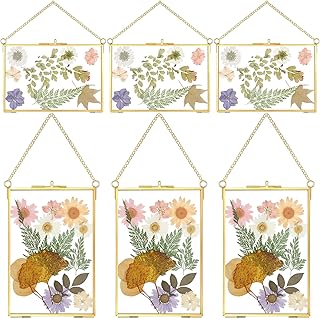 Treela 6 Pcs Pressed Flower Glass Picture Frames 6 x 4 Inch Brass Hanging