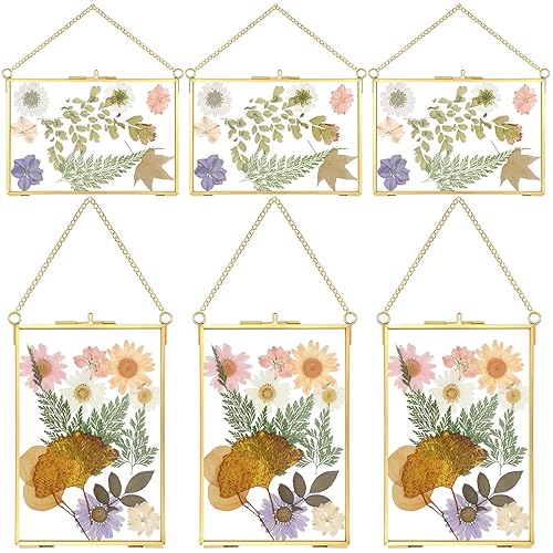 Treela 6 Pcs Pressed Flower Glass Picture Frames 6 x