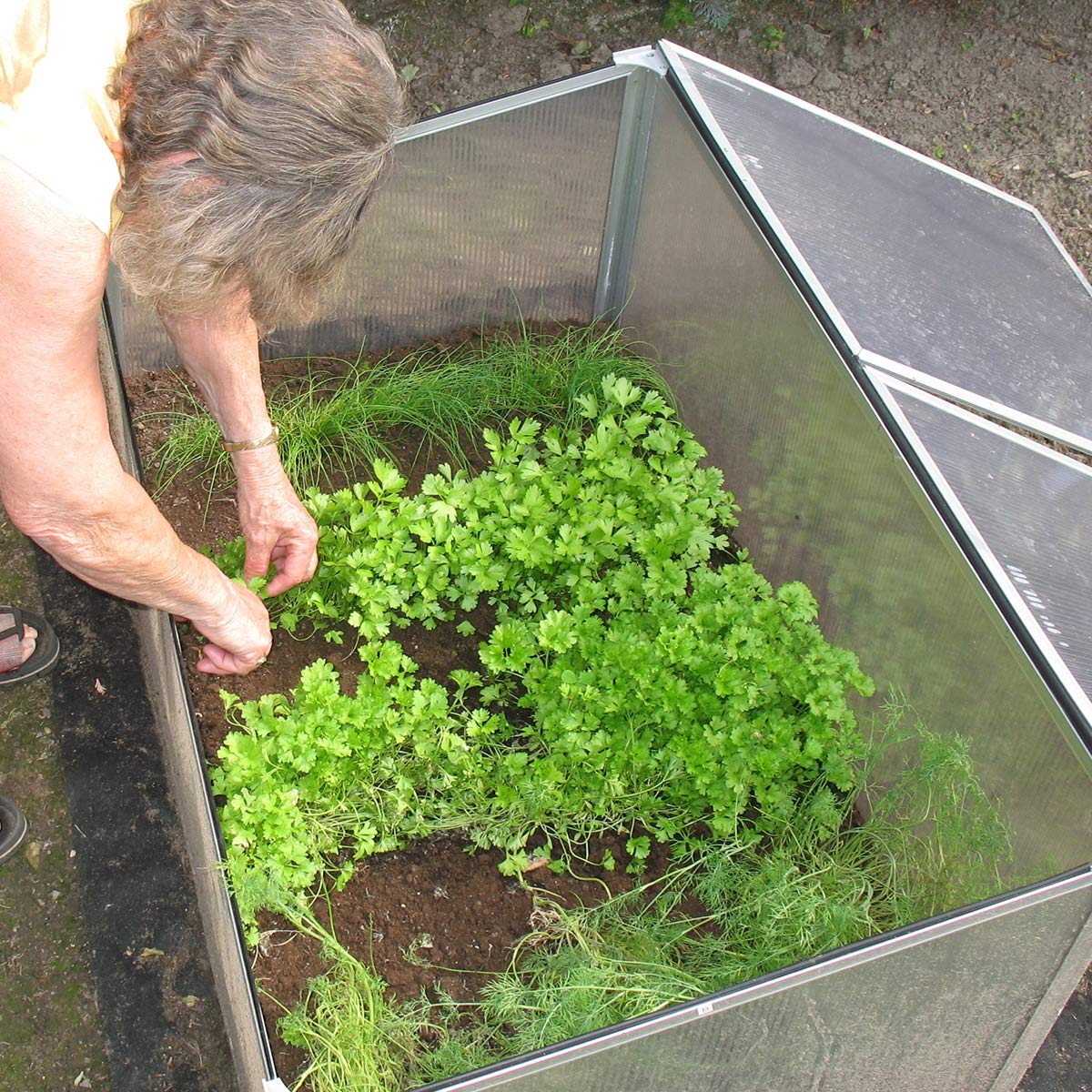 ECD Germany Mini Serre de Jardin sans Fond à 2 Trappes 100x60x40 cm en Polycarbonate Transparent Châssis de Couche en Aluminium Résistant aux Intempéries et UV pour Fleurs Légumes Fruits Plantes
