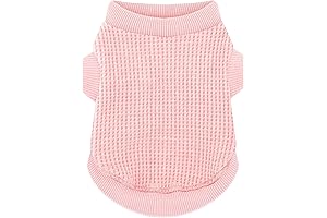 Pawsitively Chic Chihuahua Shirts: Embracing Comfort and Style for Chilly Days