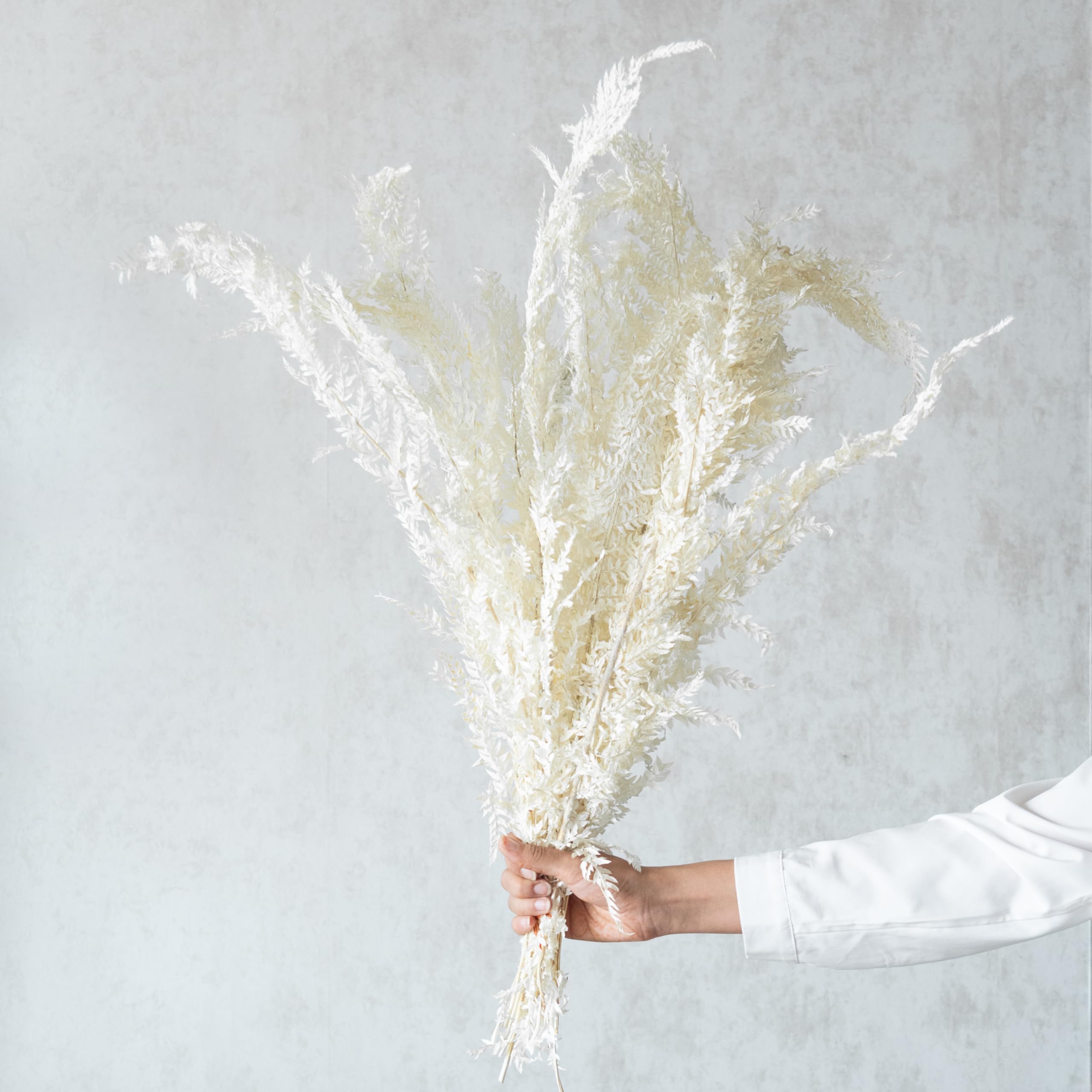 Dried White Fern Leaves (12Pcs) | Eco-Friendly Flowers for Home, Office, Bedroom, Table Decoration|Leaves|Home Decor-image-22