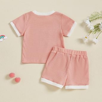 Toddler Baby Girl Summer Outfits Flower Embroidered Short Sleeve Top Shorts 2Pcs Set Infant Cute Spring Clothes
