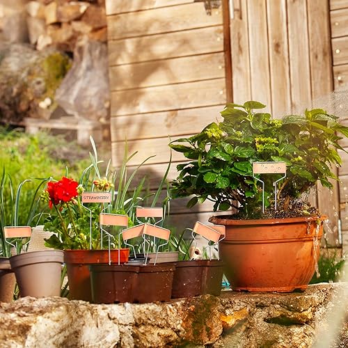 Miniatura 6 de Moxweyeni 60 etiquetas de metal para jardín, etiquetas impermeables para plantas con 2 bolígrafos permanentes, etiquetas reutilizables para plantas