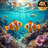Aquarium Screensaver 4K