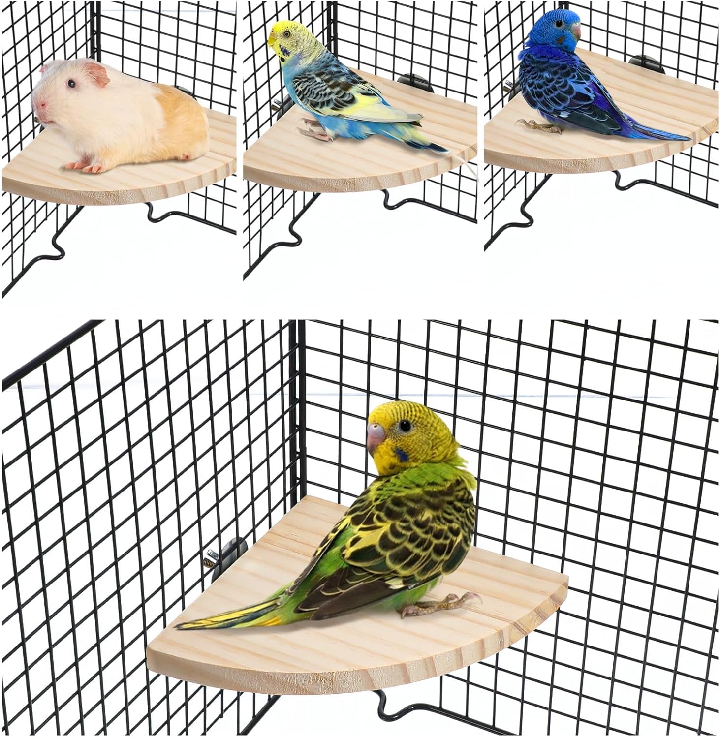 Bird Perch Platform Stands Parrot Stand Sector Playground Wood Perch Stand Toy Wooden Parrot Perches Corner for Canaries Cockatiels Finches, Budgies Lovebirds Hamsters Guinea Pigs Chinchillas