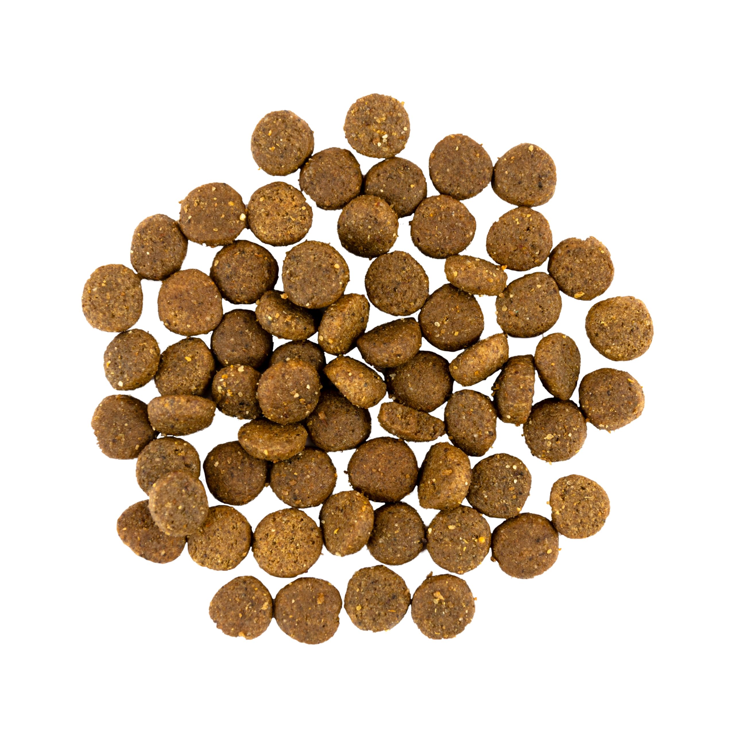 Savory - Cibo secco per cani - Cucciolo - Tacchino e pollo freschi - a base di carne fresca essiccata, con Vit. A, D3, E, C - (2 x 3 kg)