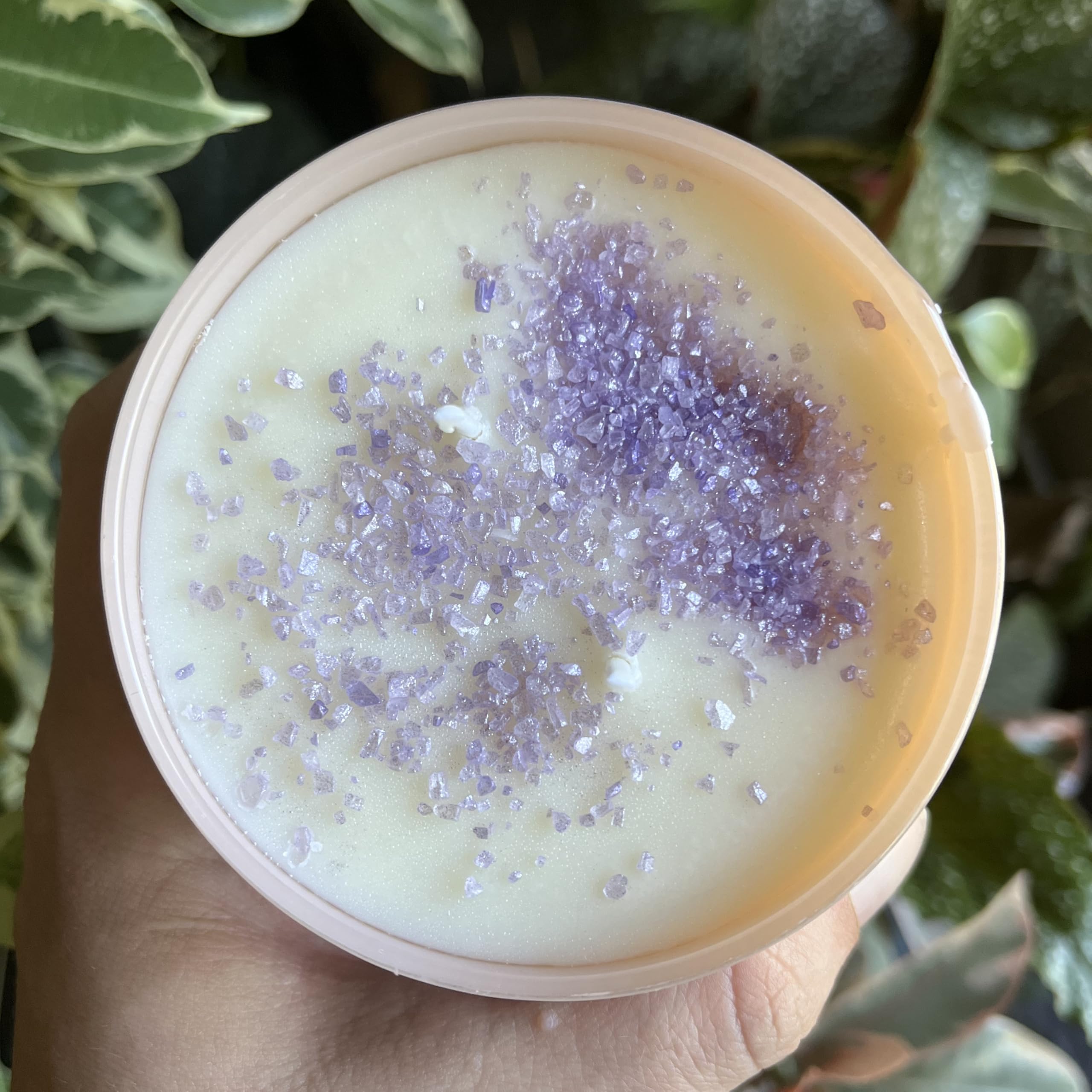 Agate Edge 10oz Luxury Soy Wax Candles (Blackberry Sage: purple mica salt topping)