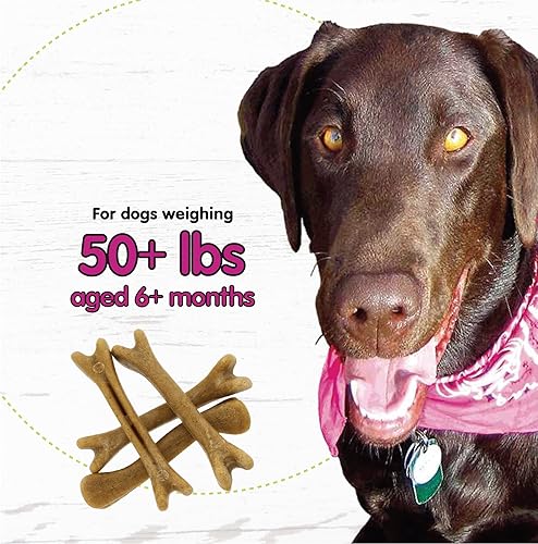 Miniatura 5 de Huesos del vientre para perros, 4 golosinas dentales grandes con sabor a yogur (hechas en Estados Unidos) – 4 golosinas para perros grandes –